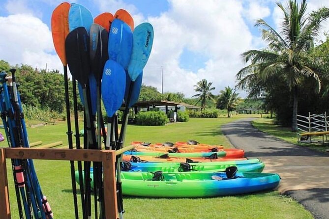 North Shore Farm: Anahulu River, Kayak-Sup, Turtles, Lunch & More - Simple tips to make your day smoother