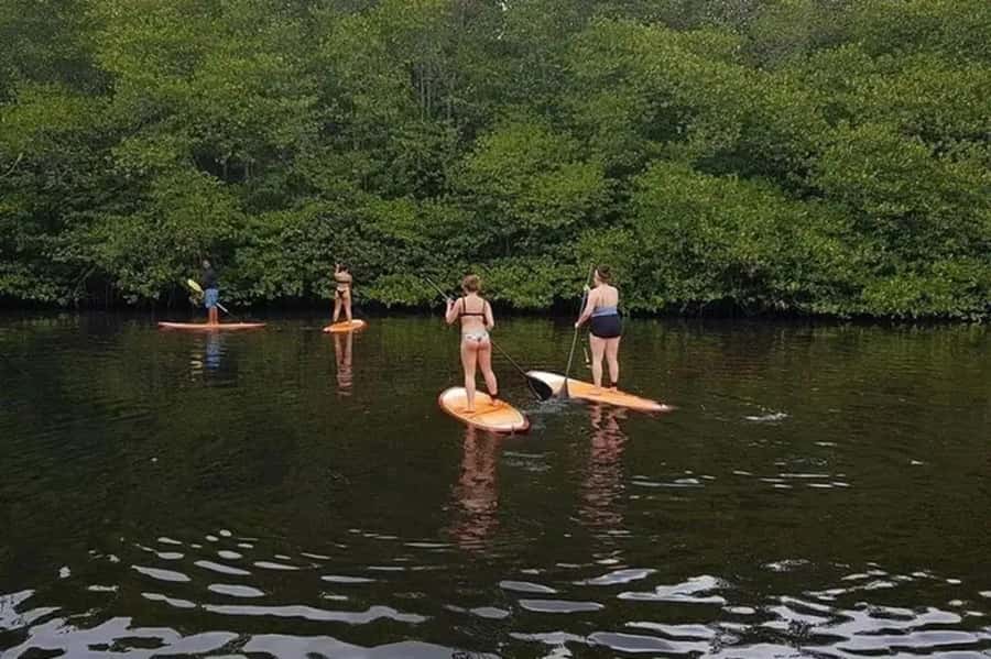 Nusa Penida: Snorkel 3 Spots w/ GoPro & Mangrove Paddle Tour - Optional SUP Confusion (And How to Avoid Paying Twice)