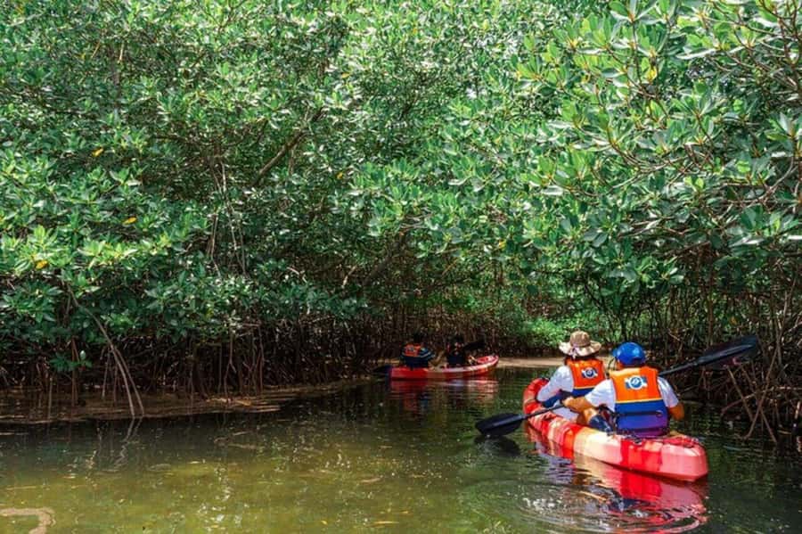 Nusa Penida: Snorkeling 3 Spots with GoPro & Kayak Mangroves - Finding the Start: Toya Pakeh Harbour and Wonderland Manta Penida