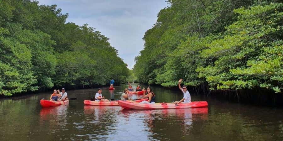 Nusa Penida: Snorkeling 3 Spots with GoPro & Kayak Mangroves - Safety, Seasickness, and Who This Tour Fits