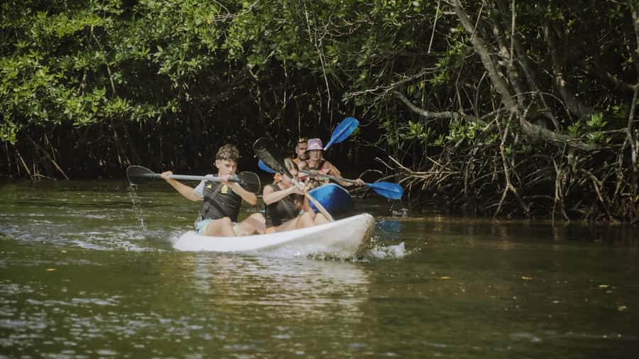 Nusa Penida: Snorkeling 3 Spots with GoPro & Kayak Mangroves - Gear and Comfort: What’s Included (and What You Still Need)