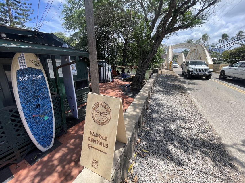 Oahu: North Shore Haleiwa Paddleboard River Adventure - Mangroves, Freshwater Springs, and Wildlife Spotting