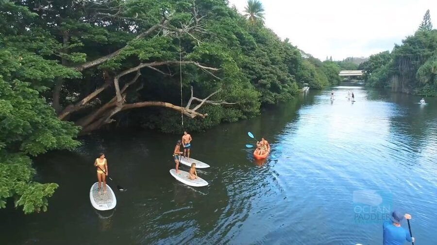 Oahu: North Shore Haleiwa Paddleboard River Adventure - Price and Value at $34 per Person