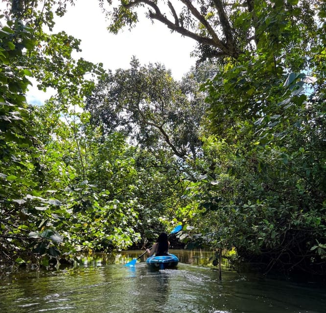 Oahu: Single & Double Kayak 3-Hour River Rental - Key things that make this kayak rental worth a look