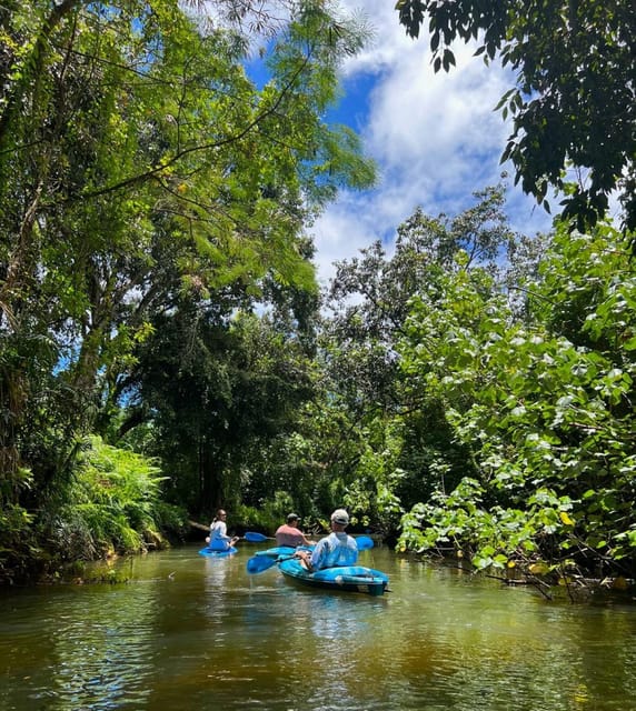 Oahu: Single & Double Kayak 3-Hour River Rental - Getting to the Water: Meeting Larry and Finding the Start