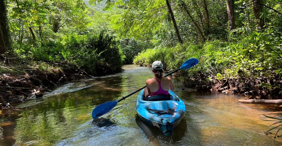 Oahu: Single & Double Kayak 3-Hour River Rental - Price and Value: Is $75 per Person a Good Deal