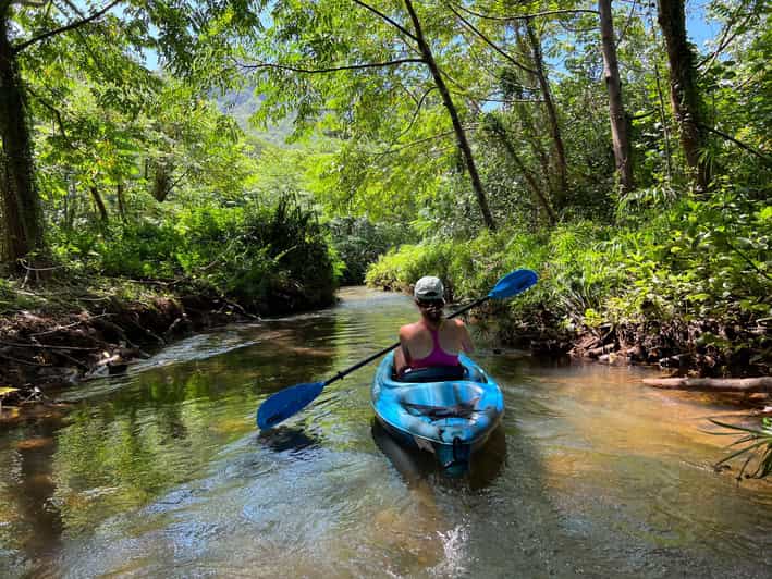 Oahu: Single & Double Kayak 3-Hour River Rental - What a 3-Hour Paddle Feels Like on Oahu’s River and Bay