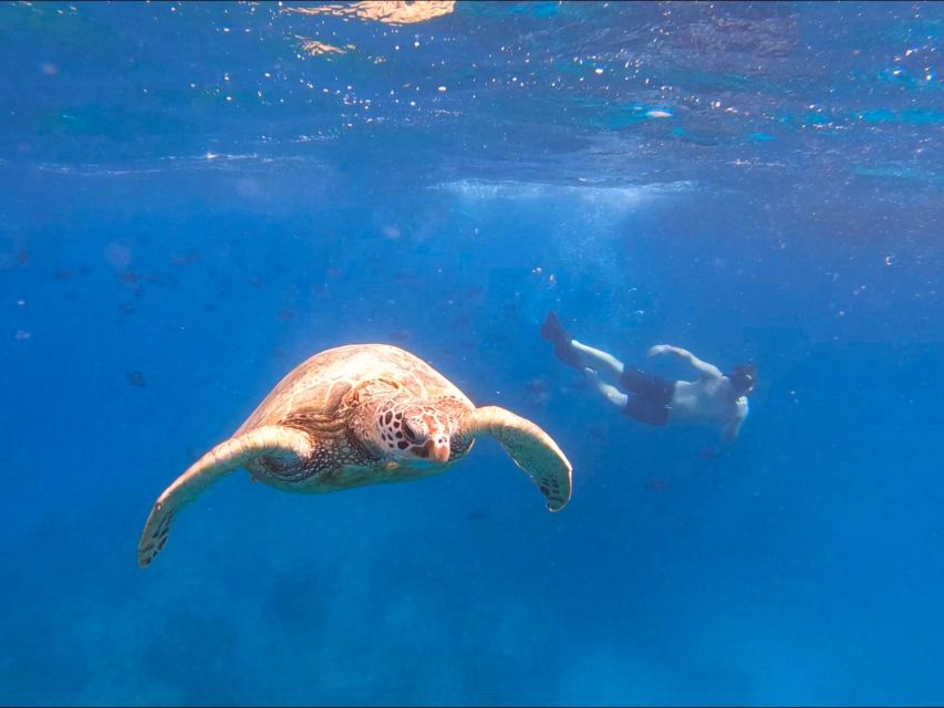 Oahu Snorkeling with Turtles, Water Scooter, Paddleboard - Electric water scooter: fun factor, but watch the power and timing