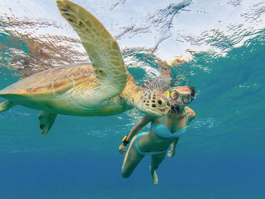 Oahu Snorkeling with Turtles, Water Scooter, Paddleboard - Stand-up paddleboard in open waters: worth it when conditions feel right
