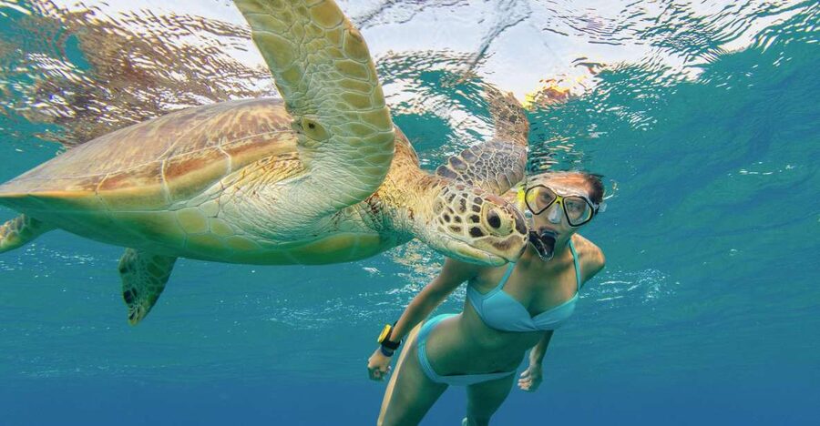 Oahu Snorkeling with Turtles, Water Scooter, Paddleboard - Food and warmth: Cafe Iyasume musubi plus hot cup noodles