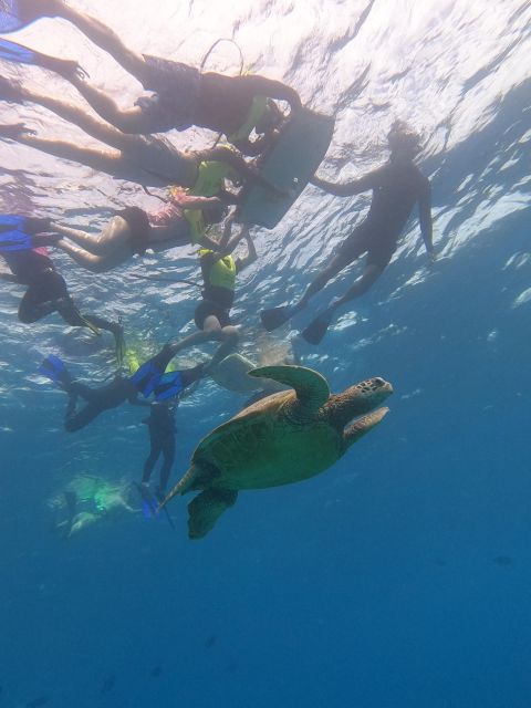 Oahu Snorkeling with Turtles, Water Scooter, Paddleboard - Price and value: where the $120 fits