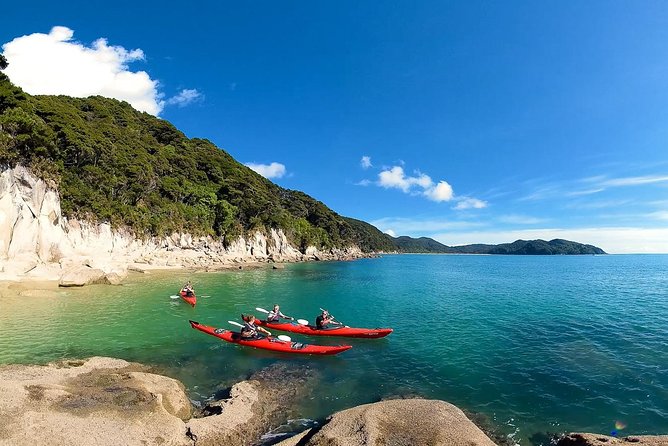 Oarsome Marine Reserve Kayak Tour - Key highlights at a glance