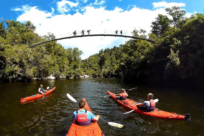 Oarsome Marine Reserve Kayak Tour - Guides: how their style affects your whole day