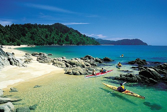 Oarsome Marine Reserve Kayak Tour - Price and value: what you’re really paying for