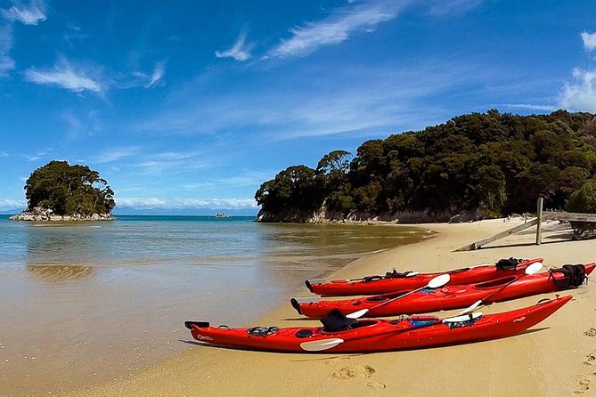 Oarsome Marine Reserve Kayak Tour - Who should book this tour (and who should skip it)