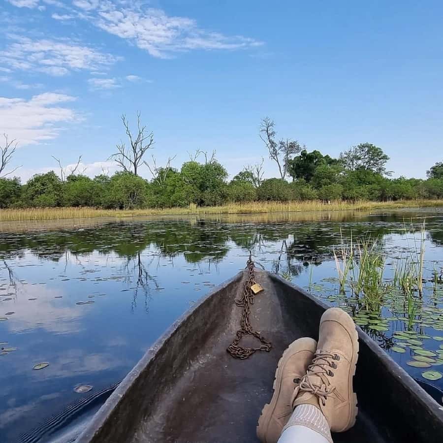 Okavango Delta: Full-Day Mokoro/Canoe Tour All-Inclusive - Key Highlights You’ll Feel Immediately