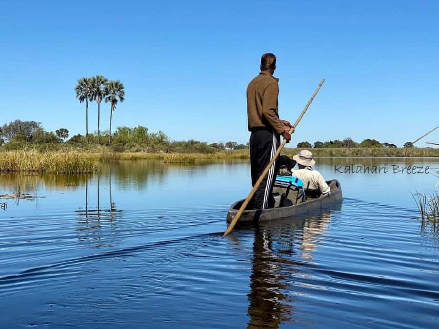 Okavango Delta: Full-Day Mokoro/Canoe Tour All-Inclusive - Mokoro Day Basics: What This Tour Really Is (and isn’t)