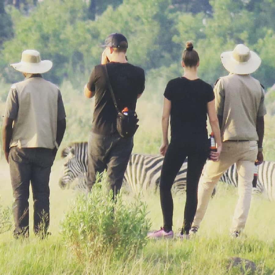 Okavango Delta: Full-Day Mokoro/Canoe Tour All-Inclusive - Guided Walking Safari: Why This Beat the Usual Game-Drive Feeling