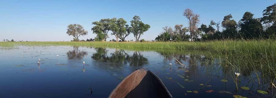 Okavango Delta: Full-Day Mokoro/Canoe Tour All-Inclusive - Rain, Sunscreen, and the Stuff That Keeps You Comfortable