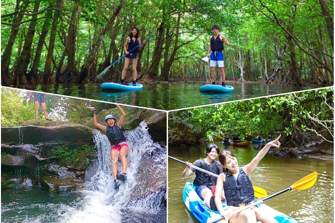 Okinawa Iriomote Mangrove SUP or Canoe and Splash Canyoning Tour - Key points before you go