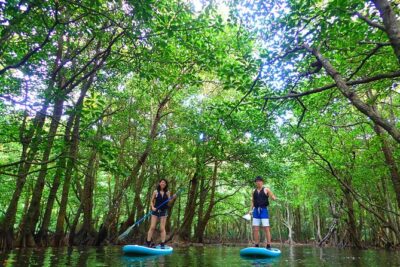 Okinawa Iriomote Mangrove SUP or Canoe Tour - SUP vs canoe: choose the ride that matches your comfort