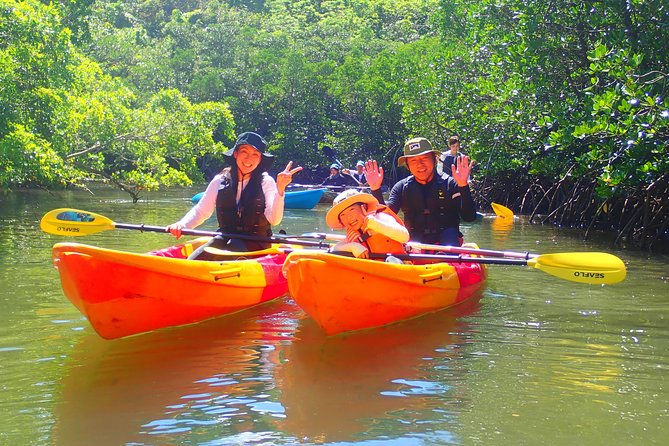 Okinawa Iriomote Mangrove SUP or Canoe Tour - Rain, showers, and wet clothes: plan like a paddler