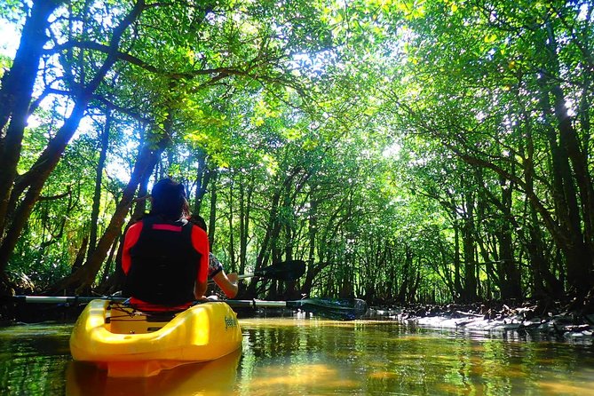 Okinawa Iriomote Mangrove SUP or Canoe Tour - Safety rules that keep the experience easy
