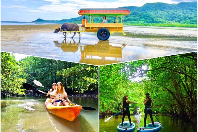 Okinawa Iriomote SUP or Canoe and Sightseeing in Yubujima Island - Key things I’d know before you go