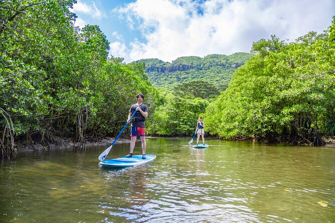Okinawa Iriomote SUP or Canoe and Sightseeing in Yubujima Island - Yubu-jima Stop: First Activity and Why It Works for Beginners