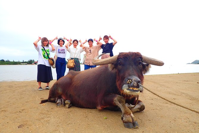 Okinawa Iriomote SUP or Canoe and Sightseeing in Yubujima Island - Lunch Break: Your Freedom Window (and Your Toilet Plan)