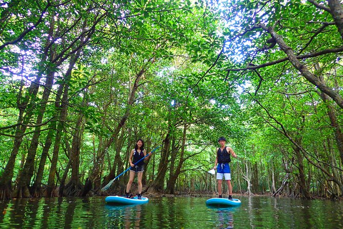 Okinawa Iriomote SUP or Canoe and Sightseeing in Yubujima Island - Photo Data and Warm Shower: The Real-World Convenience