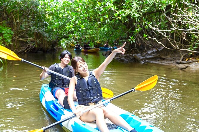 Okinawa Iriomote SUP or Canoe and Sightseeing in Yubujima Island - Eco-Friendly and Safety Rules You Should Not Ignore