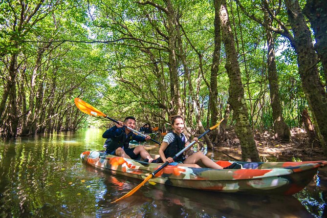 Okinawa Iriomote SUP or Canoe and Sightseeing in Yubujima Island - Where You Start: Densa Terminal, Pickup Limits, and Timing