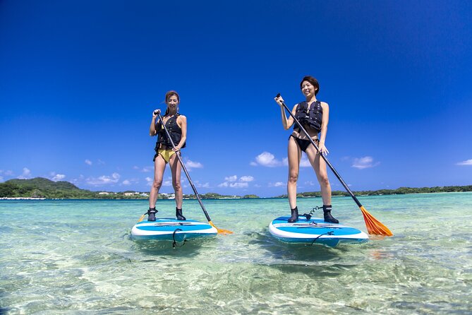 Okinawa Ishigaki Kabira Bay SUP or Canoe Tour - Key highlights before you go