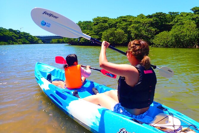 Okinawa Ishigaki Mangrove SUP or Canoe Tour - Key things to know before you paddle