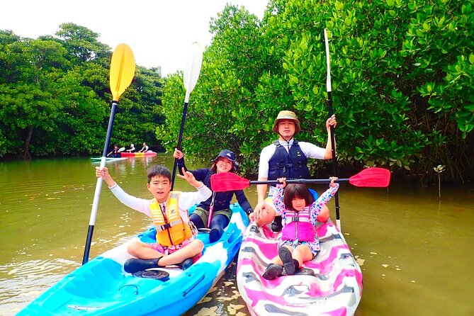 Okinawa Ishigaki Mangrove SUP or Canoe Tour - Paddling the Miyara River Mangroves in Ishigaki