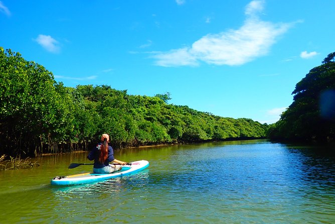 Okinawa Ishigaki Mangrove SUP or Canoe Tour - The 90-minute flow: Miyara River Hirugi Grove to Ishigaki-jima