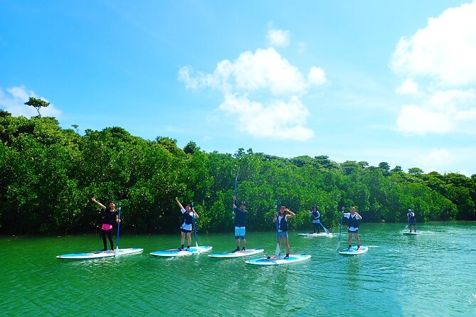 Okinawa Ishigaki Mangrove SUP or Canoe Tour - Guides who keep the group comfortable and in the moment