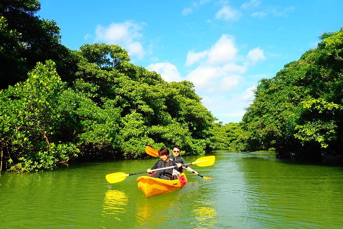 Okinawa Ishigaki Mangrove SUP or Canoe Tour - Gear, safety rules, and the stuff people forget