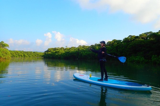 Okinawa Ishigaki Mangrove SUP or Canoe Tour - Weather and rain: what actually changes your plan