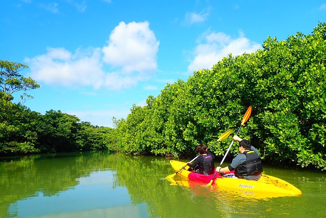 Okinawa Ishigaki Mangrove SUP or Canoe Tour - Getting to the meeting point near Ishigaki Port