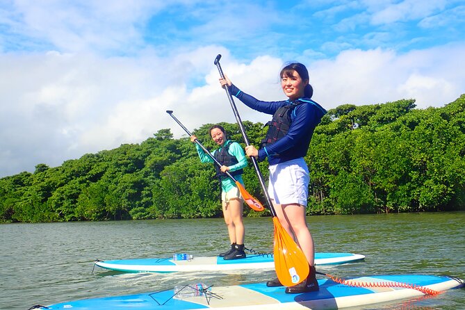 Okinawa Ishigaki Mangrove SUP or Canoe Tour - What you’re really paying for at $52.19