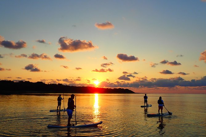 Okinawa Ishigaki Sunrise SUP or Canoe Tour - Stop 1: Miyara River Hirugi Grove and the calm-mangrove feeling