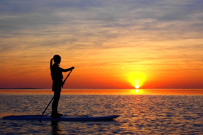 Okinawa Ishigaki Sunset SUP or Canoe Tour - Price and value: does $52.18 make sense for 90 minutes?