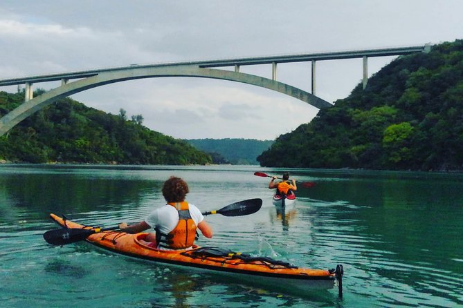 Okinawa: Kayak Mangroves & Ocean Native-English Private Tour - Quick take: what you’ll care about most