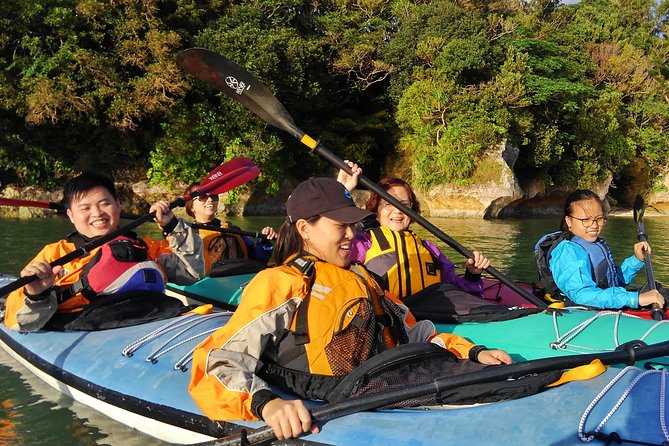 Okinawa: Kayak Mangroves & Ocean Native-English Private Tour - Kayak mangroves and island waters: why this part of Okinawa feels different
