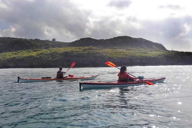 Okinawa: Kayak Mangroves & Ocean Native-English Private Tour - From briefing to Yagaji Island: paddling options that match ability and sea state