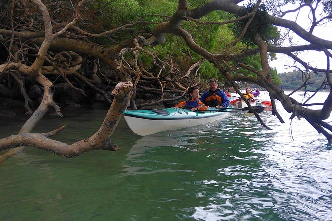 Okinawa: Kayak Mangroves & Ocean Native-English Private Tour - Nakijin-son reef and golden sand landing: the shore moment you remember