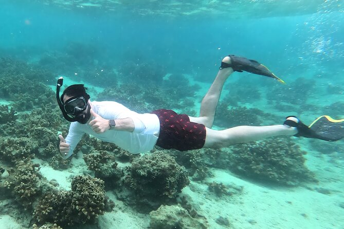 Okinawa: Kayak & Snorkel, Private Tour in Yanbaru - Snorkel Stop in Motobu: Coral, Colorful Fish, and Flexibility