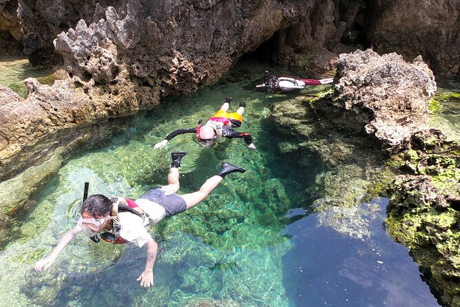 Okinawa: Kayak & Snorkel, Private Tour in Yanbaru - Price and What You Actually Get for $137.94